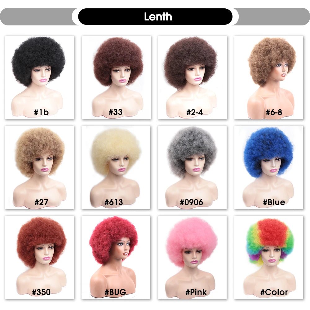 Amir Afro Wig Short Kinky Curly Wig With Bangs Black Natural Ombre Synthetic Hair For Women Party Dance Female Bob Wigs - Free Delivery Worldwide only at Flexi Africa