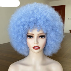 Short Fluffy Afro Kinky Curly Wig with Bangs: Synthetic Ombre Glueless Wig - Flexi Africa - Free Delivery www.flexiafrica.com